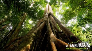 Mount Tambuyukon Expedition  